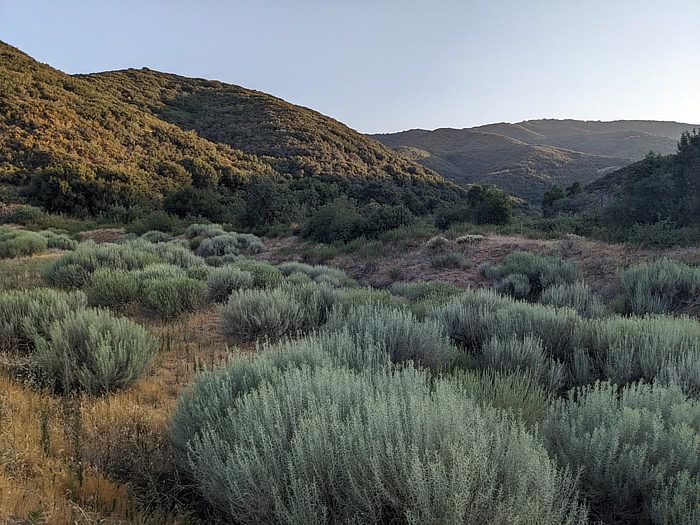 hills above the lake